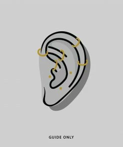 CLASSICS NYMPH. Amethyst Rectangle Clicker Ring - Silver Earrings