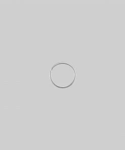 CLASSICS Nose Rings The Fine Nose Ring 22 CLASSICS Nose Rings The Fine Nose Ring