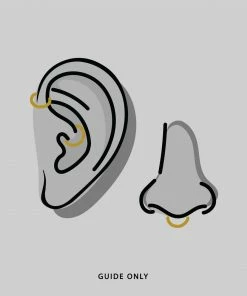 CLASSICS MAN IN THE MOON. Gold Clicker Ring - Septum Earrings 11 CLASSICS MAN IN THE MOON. Gold Clicker Ring - Septum Earrings