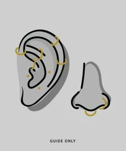 CLASSICS TUTSI EXTRA MINI. Gold Septum Clicker Ring Helix