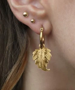 End Of Line IVY. Winter Leaf Hoop Earrings - Gold